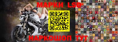 твердый Лесосибирск