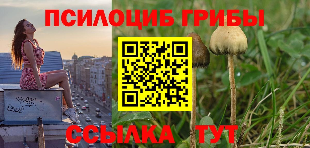 Галлюциногенные грибы Cubensis Углич